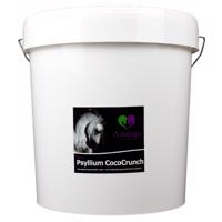 Amequ Psyllium Cococrunch 